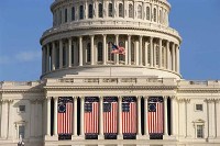 Capitol, American Flags Capitol, American Flags