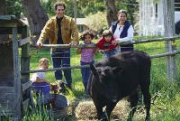 Family Petting Zoo